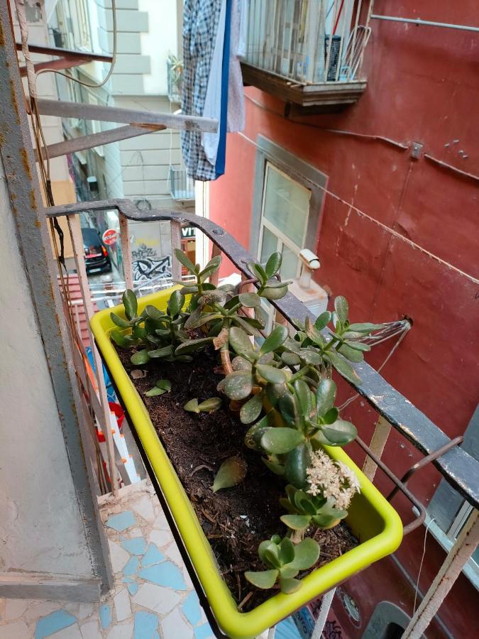 La Casa Su Spaccanapoli Exterior foto